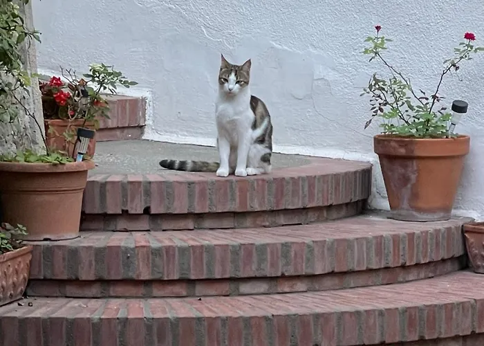 La Musa